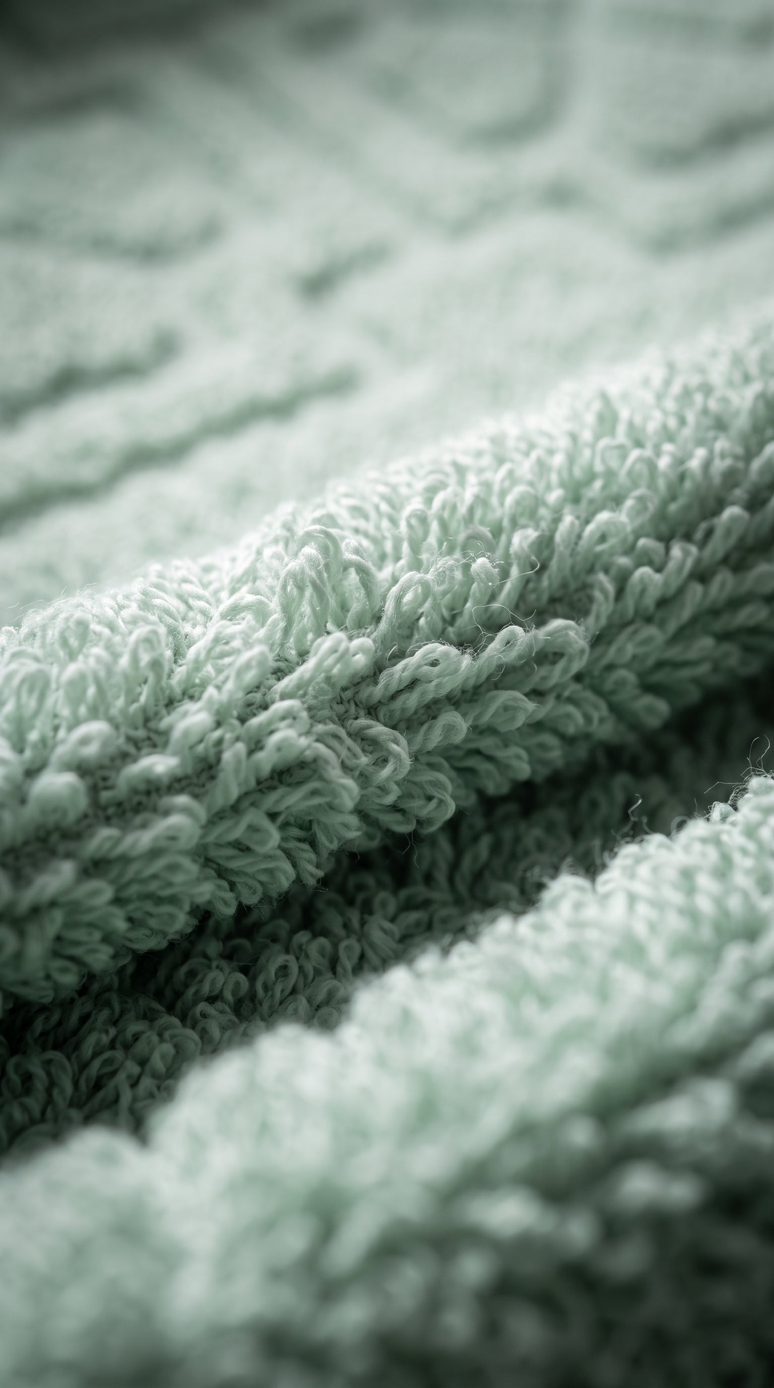Sage Green Cotton Bath Towel Set of 2 | 100% Cotton Heavy Absorbent Towels
